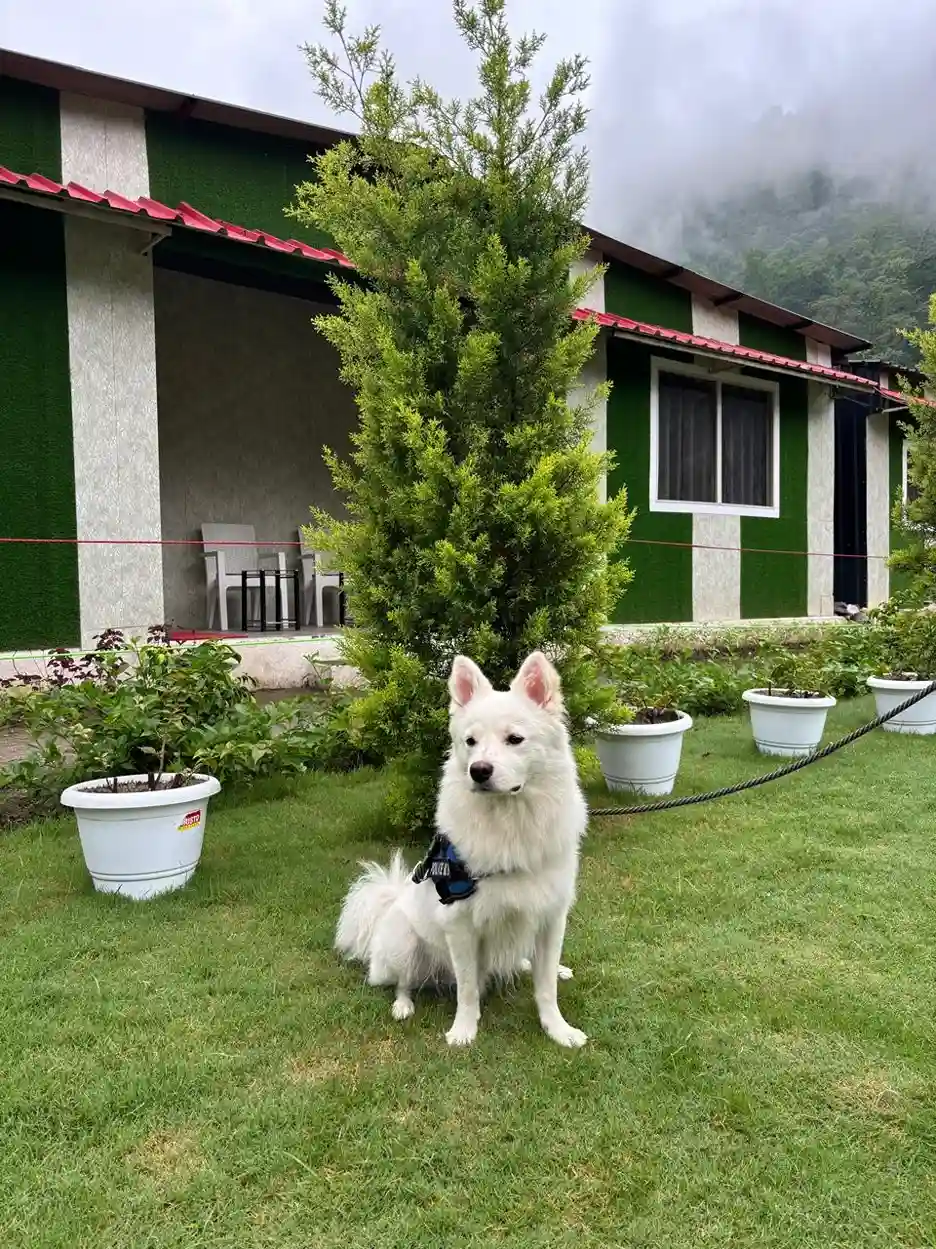 Bonfire and evening activities at RS01 riverside resort Rishikesh